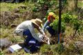 Ecofisiologia de sabanas